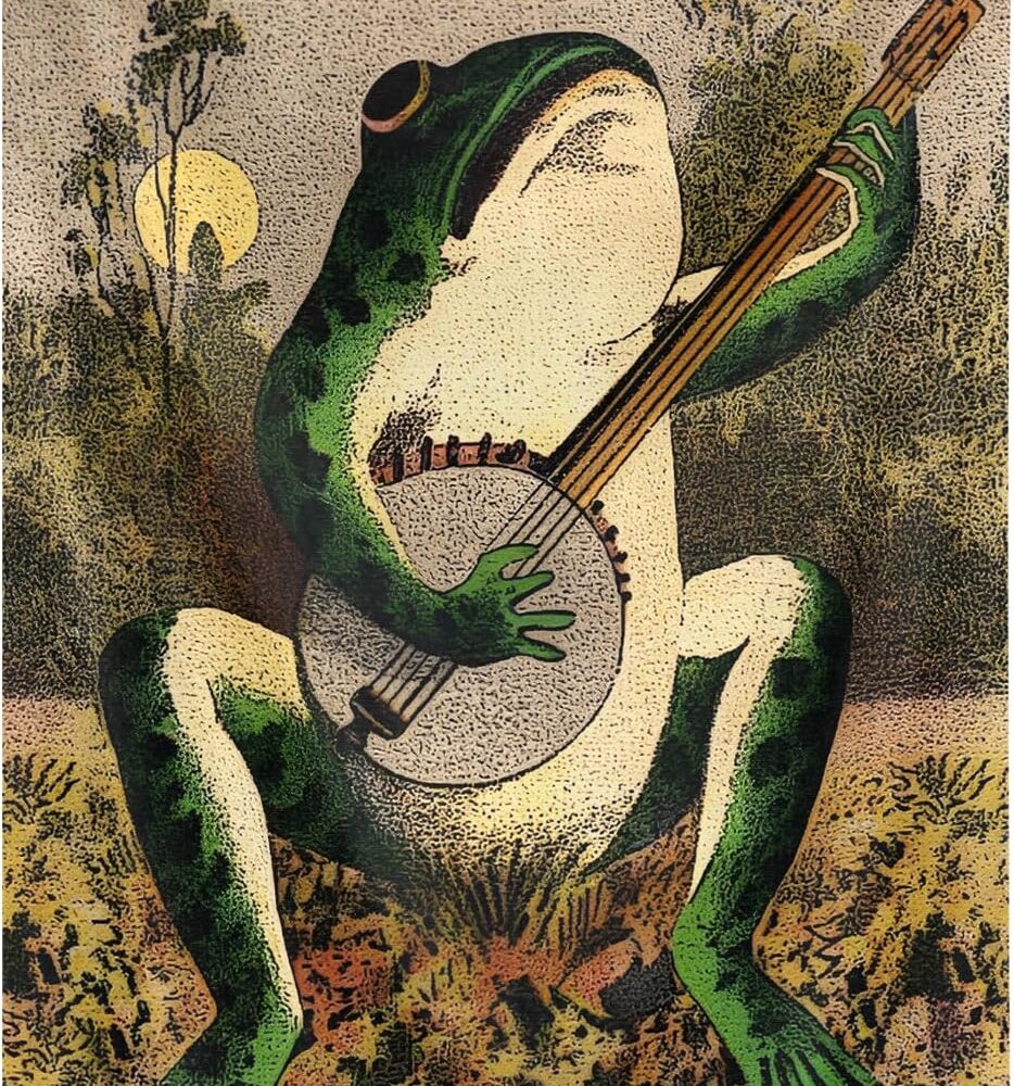 Vintage Boho Wall Hanging Funny Flags 36x24 Inches Banjo Playing Frog Wall Tapestry Aesthetic Vertical Tapestry for Bedroom Living Room Dorm Decor