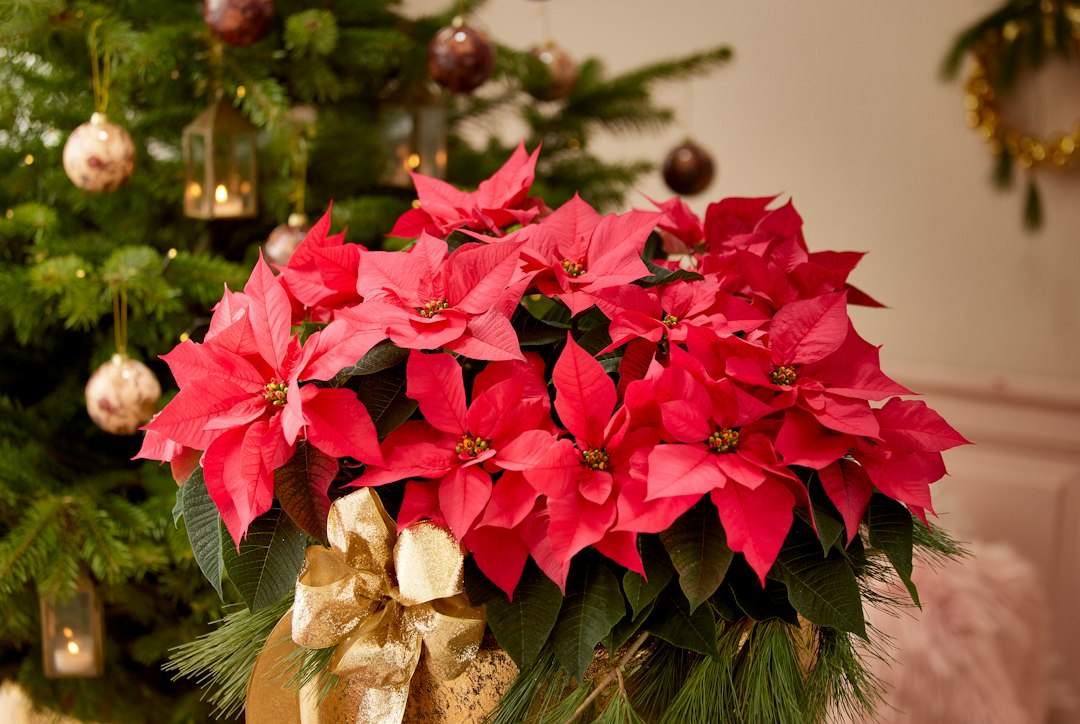 blog_1